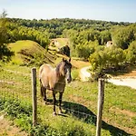 With Gas Fireplace & Bath 度假居