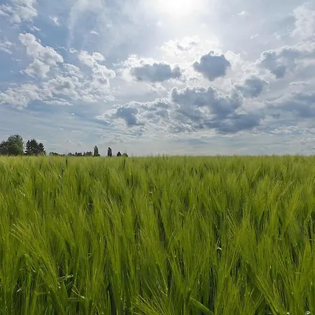 With Gas Fireplace & Bath