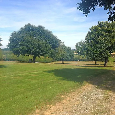 With Gas Fireplace & Bath *