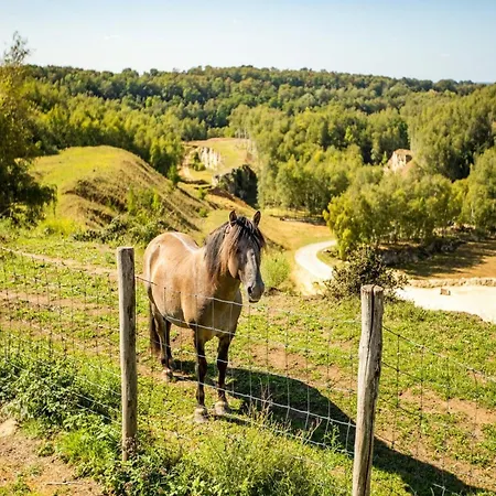 With Gas Fireplace & Bath Holiday home