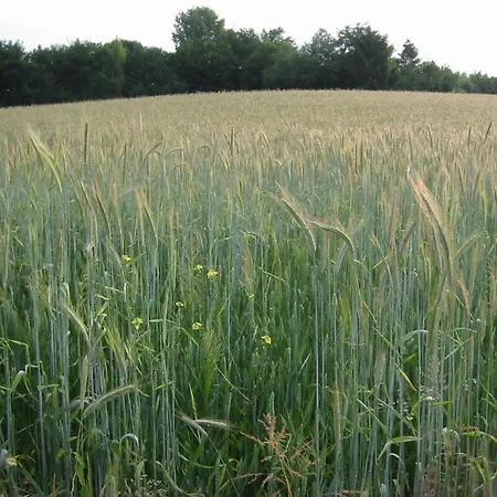 With Gas Fireplace & Bath Holiday home