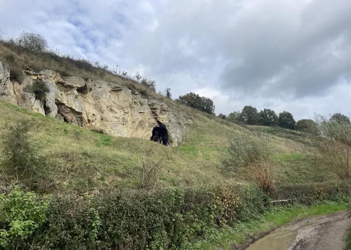 With Gas Fireplace & Bath Ferienhaus