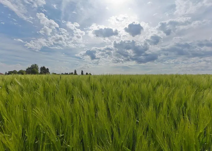 With Gas Fireplace & Bath