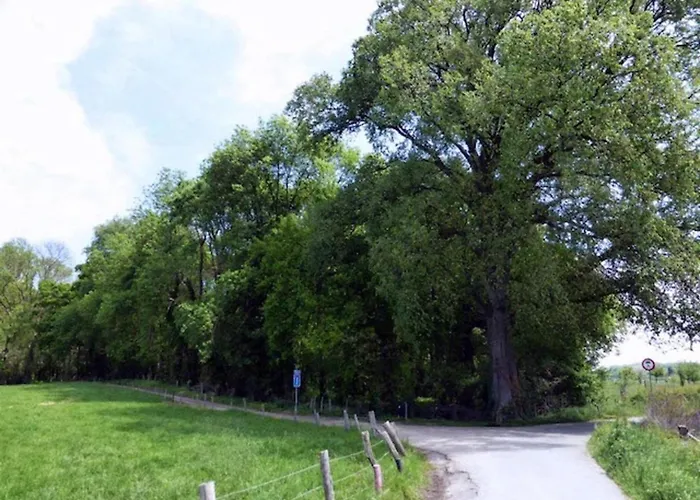 With Gas Fireplace & Bath Bemelen