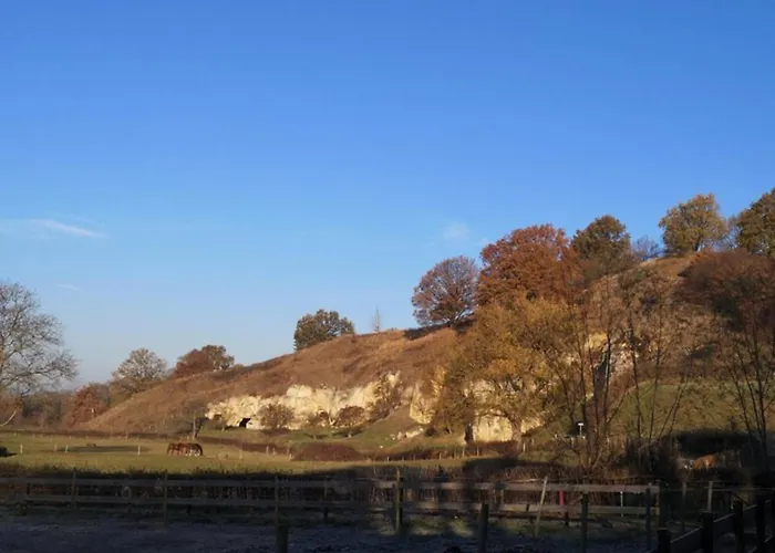 With Gas Fireplace & Bath *