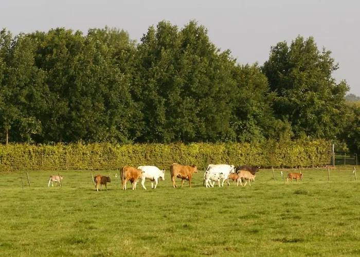 With Gas Fireplace & Bath