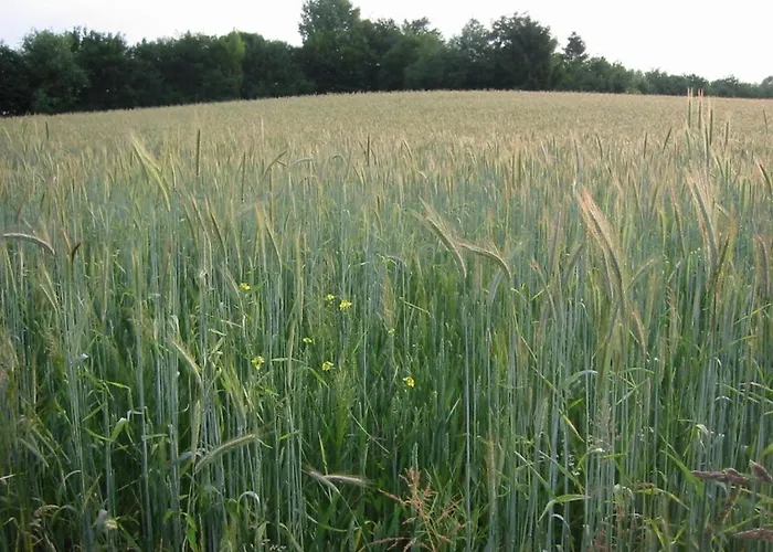 With Gas Fireplace & Bath Ferienhaus