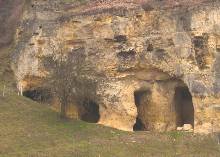 With Gas Fireplace & Bath *