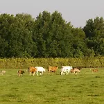 With Gas Fireplace & Bath