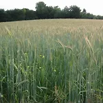 With Gas Fireplace & Bath Tatil Evi