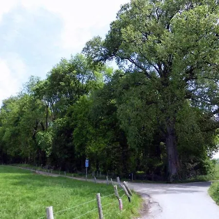 With Gas Fireplace & Bath بيميلين