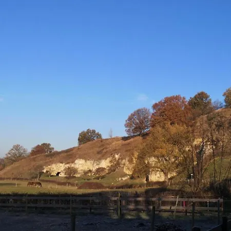 With Gas Fireplace & Bath *