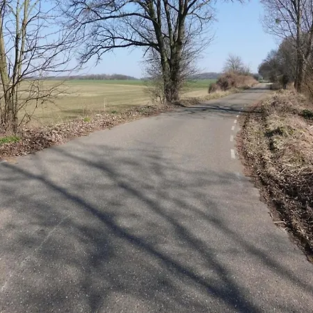 With Gas Fireplace & Bath بيميلين