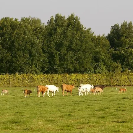 With Gas Fireplace & Bath