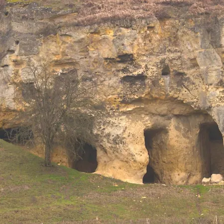 With Gas Fireplace & Bath *